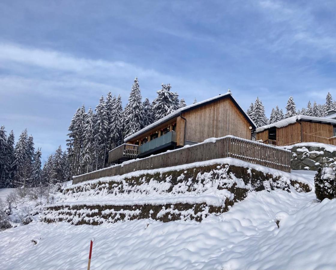 B-Lodge Kaernten Кирхбах Экстерьер фото