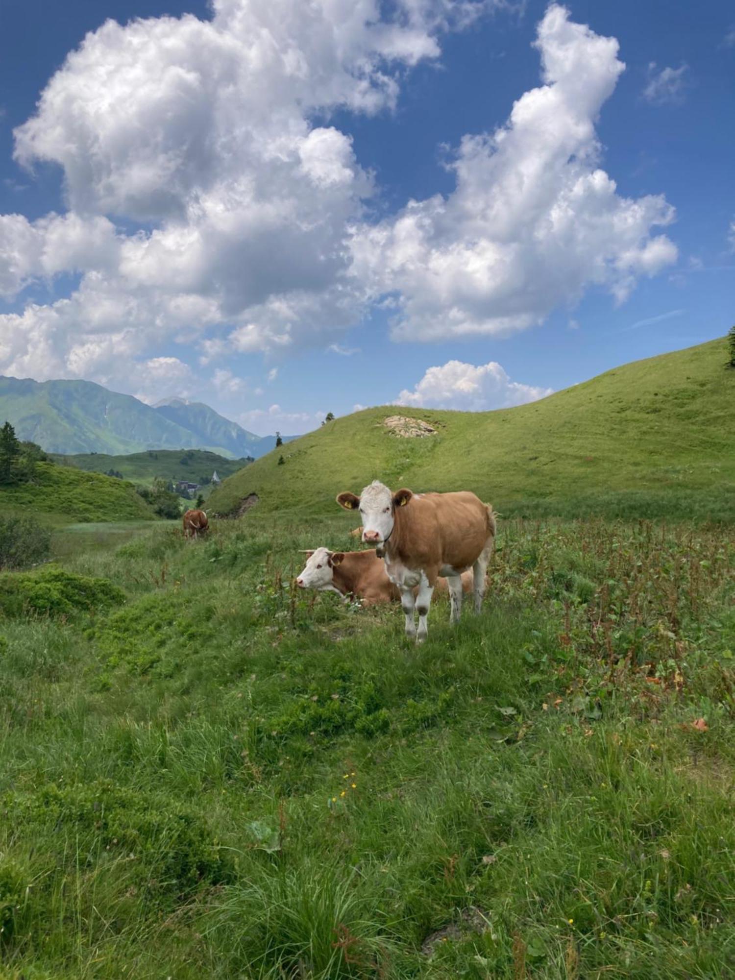 B-Lodge Kaernten Кирхбах Экстерьер фото